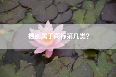 槽刨属于商标第几类？