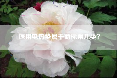 医用电热垫属于商标第几类？