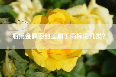瓶用金属密封盖属于商标第几类？