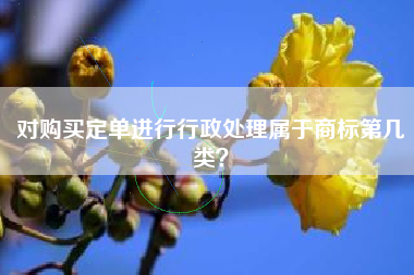 对购买定单进行行政处理属于商标第几类？