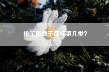 排笔刷属于商标第几类？