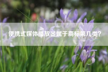 便携式媒体播放器属于商标第几类? 便携式媒体播放器属于商标第几类?
