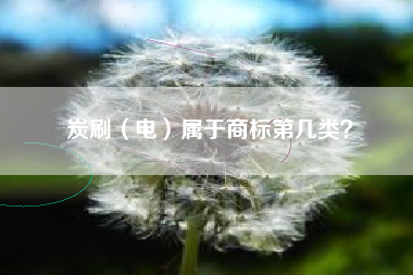 炭刷（电）属于商标第几类？