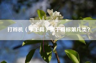 打辫机（手工具）属于商标第几类？