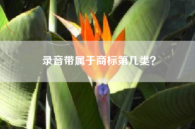 录音带属于商标第几类？
