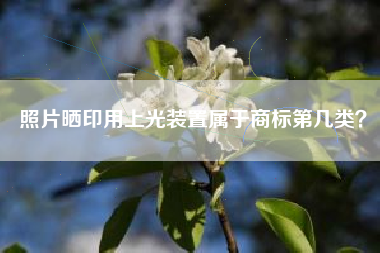 照片晒印用上光装置属于商标第几类？