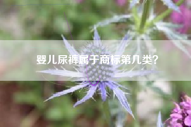婴儿尿裤属于商标第几类？