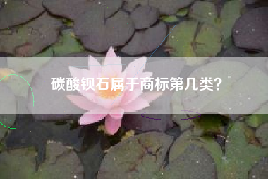 碳酸钡石属于商标第几类？