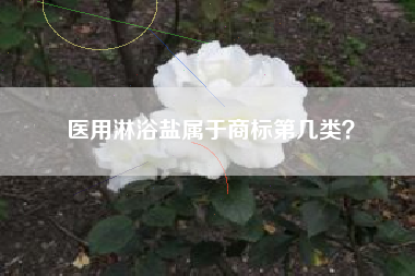 医用淋浴盐属于商标第几类？