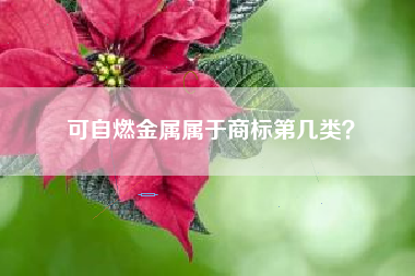 可自燃金属属于商标第几类？