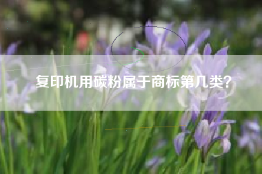 复印机用碳粉属于商标第几类？