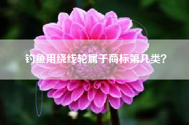 钓鱼用绕线轮属于商标第几类？