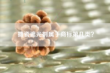 搪瓷遮光剂属于商标第几类？