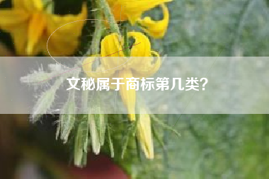 文秘属于商标第几类? 文秘属于商标第几类?