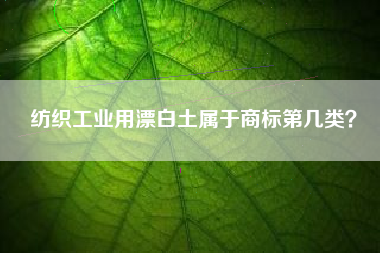 纺织工业用漂白土属于商标第几类？