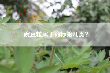 豌豆粒属于商标第几类？