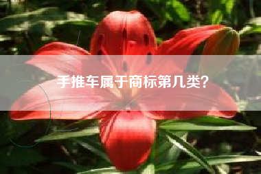 手推车属于商标第几类? 手推车属于商标第几类?