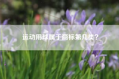 运动用球属于商标第几类？