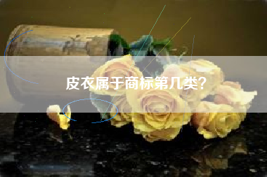 皮衣属于商标第几类？