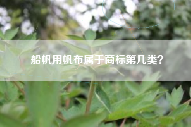 船帆用帆布属于商标第几类？