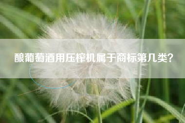 酿葡萄酒用压榨机属于商标第几类？