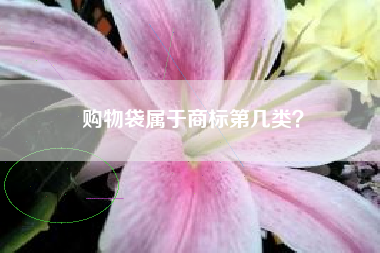 购物袋属于商标第几类? 购物袋属于商标第几类?