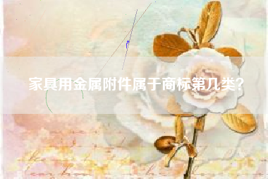 家具用金属附件属于商标第几类? 家具用金属附件属于商标第几类?