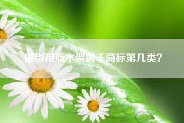 摄影用沥水架属于商标第几类？