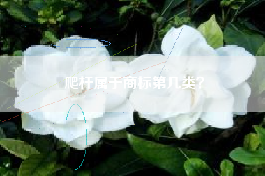爬杆属于商标第几类？