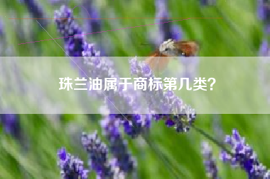 珠兰油属于商标第几类？