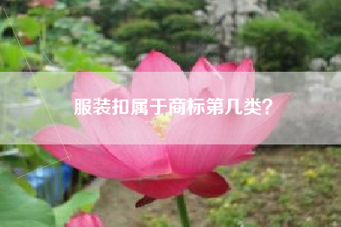 服装扣属于商标第几类？