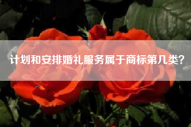 计划和安排婚礼服务属于商标第几类? 计划和安排婚礼服务属于商标第几类?