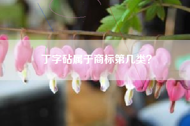 丁字砧属于商标第几类？