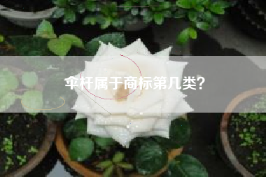 伞杆属于商标第几类？