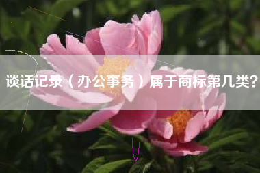 谈话记录（办公事务）属于商标第几类？