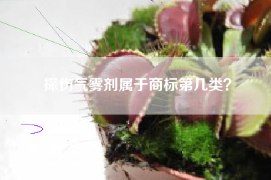 探伤气雾剂属于商标第几类？