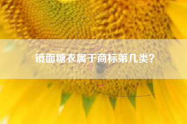 镜面糖衣属于商标第几类？
