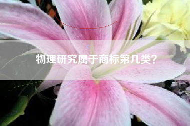 物理研究属于商标第几类？