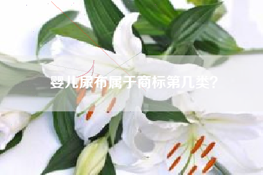婴儿尿布属于商标第几类? 婴儿尿布属于商标第几类?