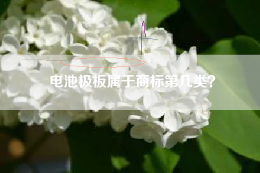 电池极板属于商标第几类？