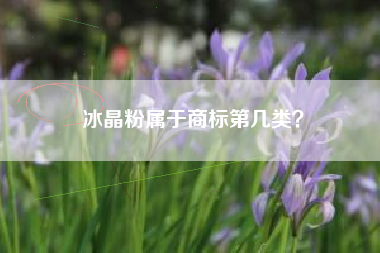 冰晶粉属于商标第几类？