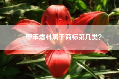 二甲苯燃料属于商标第几类？