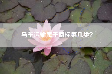 马车运输属于商标第几类？
