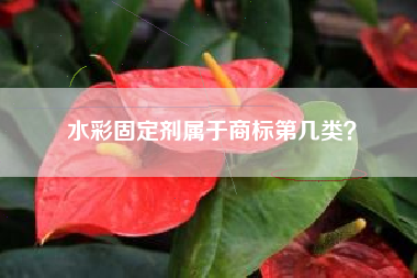 水彩固定剂属于商标第几类？