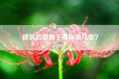 建筑信息属于商标第几类？