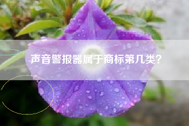 声音警报器属于商标第几类？