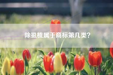除虱梳属于商标第几类？