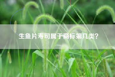 生鱼片寿司属于商标第几类？