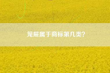 笼屉属于商标第几类？