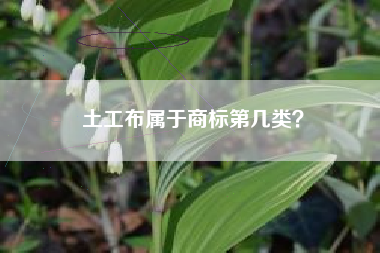 土工布属于商标第几类？